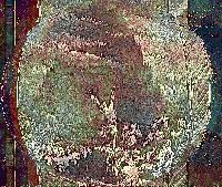 Picture for song 'CoralationV1.4' by artist 'Geld Durch Scheiss'