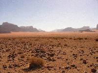 Picture for song 'EveryBody' by artist 'GenetixMC'