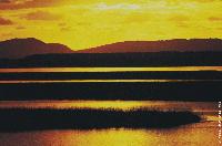 Picture for song 'Letter of my Life' by artist 'GenetixMC'