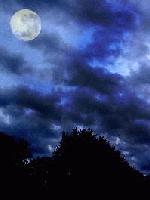 Picture for song 'Murders Anthem' by artist 'GenetixMC'