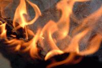 Picture for song 'Arsonist Loveletter' by artist 'Gentleman Savage'