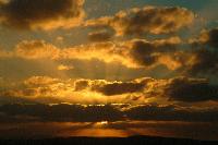 Picture for song 'Sunset Halo' by artist 'Gentleman Savage'