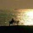 Picture for song 'PEACE' by artist 'GeorgeGuitarLine'
