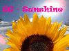 Picture for song 'Sunshine' by artist 'Georgie'