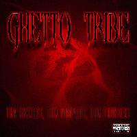 Picture for song 'Raider Haterz' by artist 'GHETTO TRIBE'