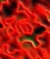 Picture for song 'Assimilator' by artist 'Ghoul Detail'