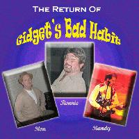 Picture for song 'Teacup' by artist 'Gidgets Bad Habit'