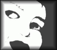 Picture for song 'more and more' by artist 'ginger preston'