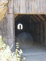 Picture for song 'An Untitled Song' by artist 'Giraffe'