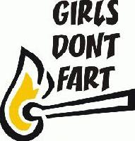 Picture for song 'Não é De Voc' by artist 'Girls Dont Fart'