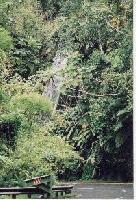 Picture for song 'violin moving the sound waves' by artist 'GLACIER CREW'