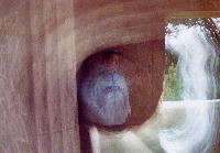 Picture for song 'Daisy Field' by artist 'GLeeD'