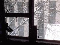 Picture for song 'Shadows and the Encompassing Gray (demo)' by artist 'Glenn Yoder'