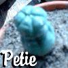 Picture for song 'Petie The Peyote Cactus' by artist 'Glow Worm'