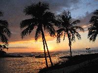 Picture for song 'Hawaiian Lullaby' by artist 'GNG'