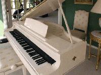 Picture for song 'The fly piano' by artist 'Goblin the loopaddict'