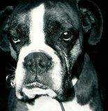 Picture for song 'Burning Bush' by artist 'GODLESS'