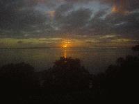 Picture for song '37th Chamber *SOLD*' by artist 'GOODRIDDIMZ PRODUCTIONS'