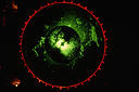 Picture for song 'Future Radar' by artist 'Good Without One'