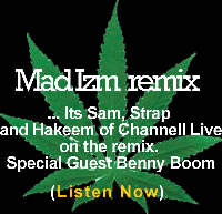 Picture for song 'Mad Izm Remix' by artist 'Gorilla Pimp Records'