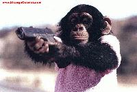 Picture for song 'da monkey doom song' by artist 'Gothmetalshredder'