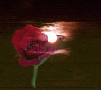 Picture for song 'Her darkness kiss' by artist 'Gothmetalshredder'