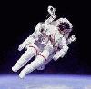 Picture for song 'One Giant Leap' by artist 'Gotu Kola (UK)'