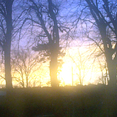 Picture for song 'Marble Ointment 2004' by artist 'Graeme Cammack'