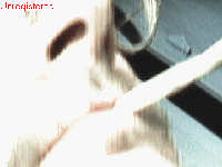 Picture for song 'GeeHop' by artist 'Graemegee'