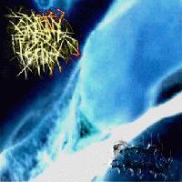 Picture for song 'the Triumph of the Fist' by artist 'Grannyfist'