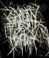 Picture for song 'track 4' by artist 'Grannyfist'