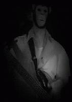 Picture for song 'Bass Monkey - Bassic' by artist 'Greenwise Records'