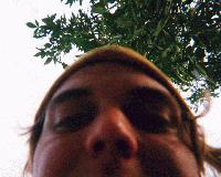 Picture for song 'Poncho Lefty - Careful Influence' by artist 'Greenwise Records'