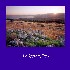 Picture for song 'Jesus Loves Even Me' by artist 'Greg Hansen'
