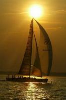 Picture for song 'Ecce Lignum - Guide Solo' by artist 'Gregorian Sense'