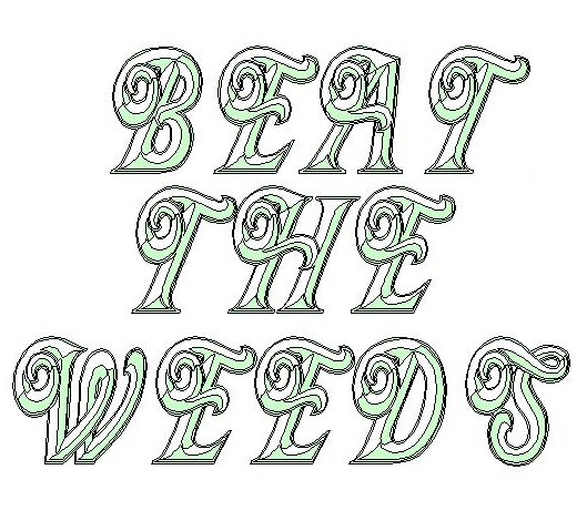 Picture for song 'Jack By Beat The Weeds Feat. The E-Block Crew' by artist 'Gregory Ate My Pudding'