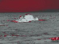Picture for song 'The Distant Shore' by artist 'Gregory Jackson'