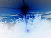 Picture for song 'Weather Forcast' by artist 'Gregory Jackson'