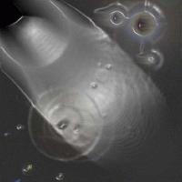 Picture for song 'Comunication' by artist 'Griffoz'