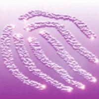 Picture for song 'Flare' by artist 'Griffoz'