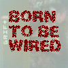 Picture for song '01 - Born To Be Wired' by artist 'GRIFT'