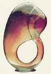 Picture for song 'klein bottle fish tank' by artist 'grilly'