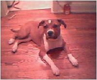 Picture for song 'got your back' by artist 'grimm protection'