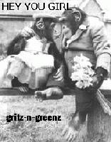 Picture for song 'HEY YOU GIRL' by artist 'Gritz-n-Greenz'
