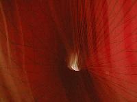 Picture for song 'Empathy Is The Key-demo' by artist 'Groont'