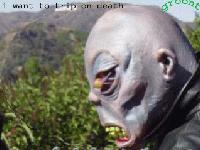 Picture for song 'Surreal' by artist 'Groont'