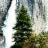 Picture for song 'Evergreen' by artist 'Groza'