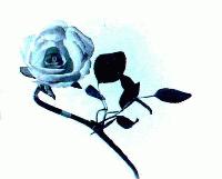 Picture for song 'Tragedy [ 4 Frances lofi Mix]' by artist 'Guilty By Design'