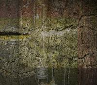 Picture for song 'guiseppe - SFS1994:98:21' by artist 'guiseppe'