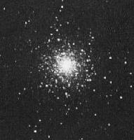 Picture for song 'SHADOW' by artist 'Gun Monkey'